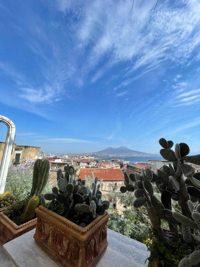 Alma De Templarsf - Stunning Design Home With Sea View And Terrace Napoli Dış mekan fotoğraf