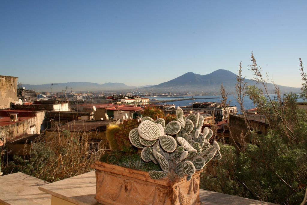 Alma De Templarsf - Stunning Design Home With Sea View And Terrace Napoli Oda fotoğraf